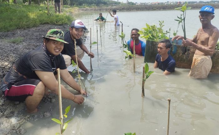 PT Cargill Gresik Kembali Tanam 1.000 Mangrove di Kalimireng PT Cargill Gresik Kembali Tanam 1.000 Mangrove di Kalimireng