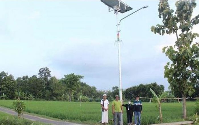 Berkat Usulan Anggota DPR RI Ratna Juwita, Ratusan PJU TS Terpasang di Tuban Berkat Usulan Anggota DPR RI Ratna Juwita, Ratusan PJU TS Terpasang di Tuban