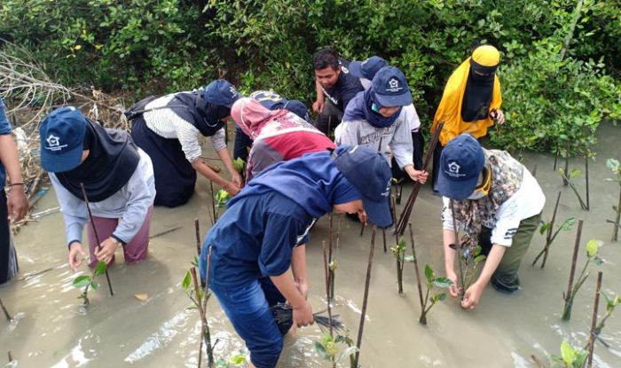 ​Cegah Abrasi, Ratusan Anggota Komunitas Lingkungan Tebar 10 Ribu Bibit Mangrove di Pantai Trimulyo