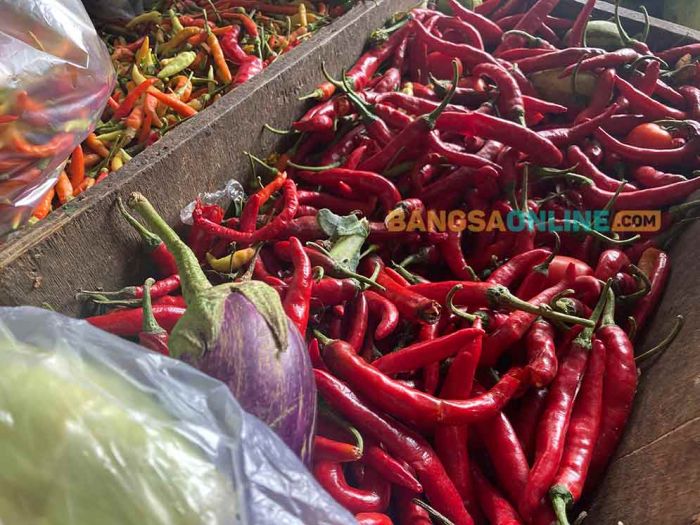 Daftar Harga Sembako Jatim Minggu 26 Oktober 2025, Cabai Besar Naik Rp1.500 Daftar Harga Sembako Jatim Minggu 26 Oktober 2025, Cabai Besar Naik Rp1.500