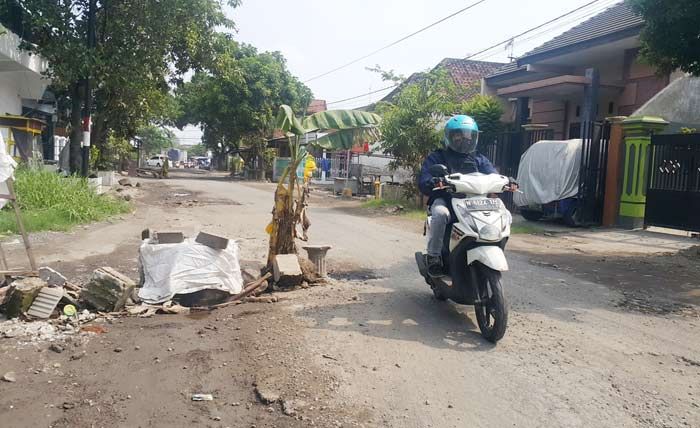 Sudah Banyak Makan Korban, Perbaikan Ruas Jalan Cangkringmalang-Gununggangsir Pasuruan Tunggu 2018 Sudah Banyak Makan Korban, Perbaikan Ruas Jalan Cangkringmalang-Gununggangsir Pasuruan Tunggu 2018