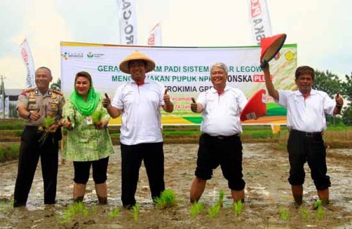 Bantu Pemerintah Kurangi Pupuk Subsidi, PG Gencar Perkenalkan NPK Phonska Plus kepada Petani Bantu Pemerintah Kurangi Pupuk Subsidi, PG Gencar Perkenalkan NPK Phonska Plus kepada Petani