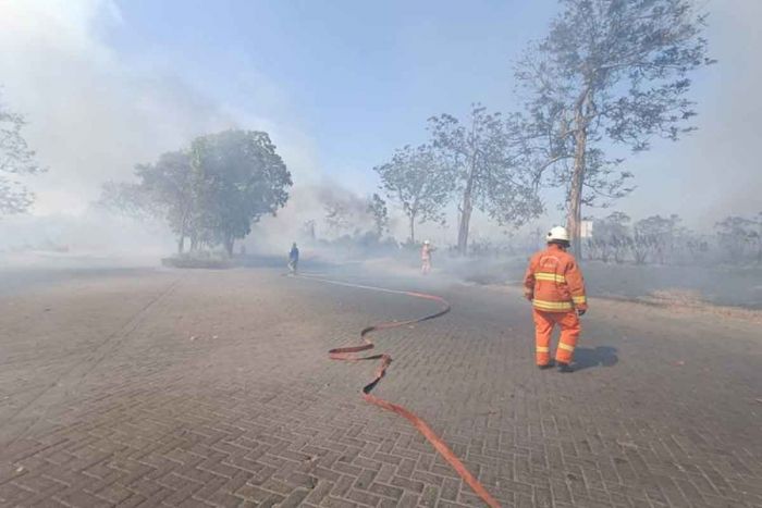 Lahan Kosong Seluas 4,5 Hektare di Surabaya Terbakar, Kepulan Asap Ganggu Arus Lalu Lintas