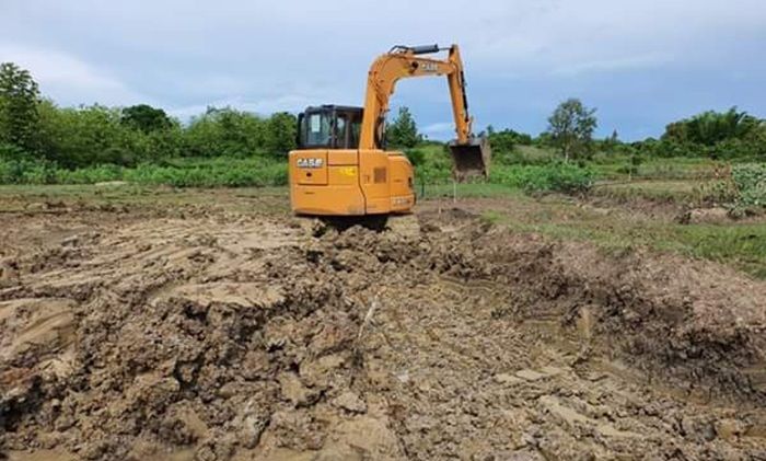 Warga Arjasa Sumenep Sulap Ratusan Hektare Lahan Tandus Jadi Produktif Warga Arjasa Sumenep Sulap Ratusan Hektare Lahan Tandus Jadi Produktif