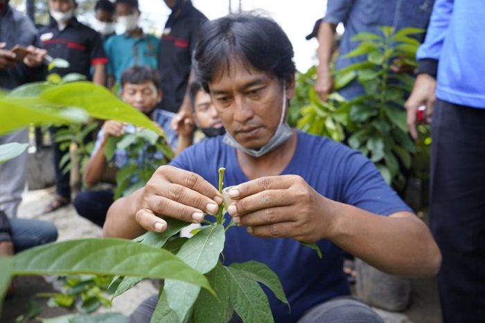 Dukung Program Pertanian, Dispertabun Kediri Bangun Balai Penyuluhan di 5 Kecamatan