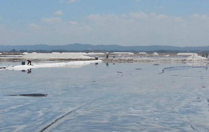 Petani Garam di Sumenep Tagih Janji Realisasi Bantuan Geomembran Petani Garam di Sumenep Tagih Janji Realisasi Bantuan Geomembran