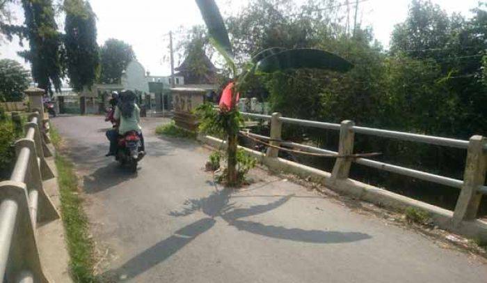 Jembatan Jebol di Desa Sawahan Kecamatan Rengel Tuban Ditanami Pohon Pisang, Warga Minta Perbaikan Jembatan Jebol di Desa Sawahan Kecamatan Rengel Tuban Ditanami Pohon Pisang, Warga Minta Perbaikan