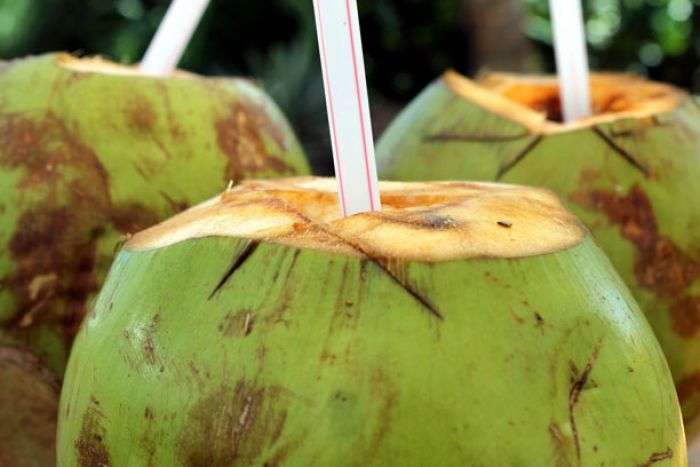 6 Minuman Terbaik untuk Penderita Diabetes, Air Kelapa Salah Satunya 6 Minuman Terbaik untuk Penderita Diabetes, Air Kelapa Salah Satunya