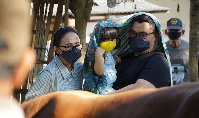 Bupati Kediri Ajak Anak Lihat Sapi Simental yang Dikurbankan saat Idul Adha 1443 H Bupati Kediri Ajak Anak Lihat Sapi Simental yang Dikurbankan saat Idul Adha 1443 H