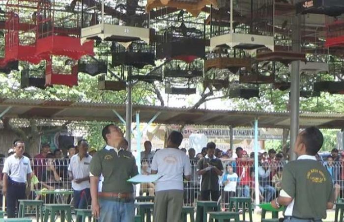 Lestarikan Populasi Burung, Kapolres Jombang Gelar Lomba Lestarikan Populasi Burung, Kapolres Jombang Gelar Lomba