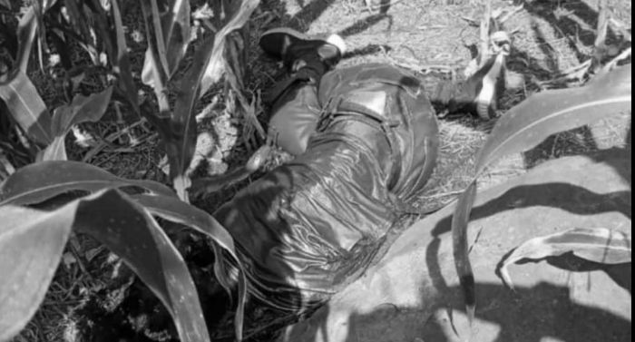 Warga Jombang Temukan Jasad Membusuk di Ladang Jagung