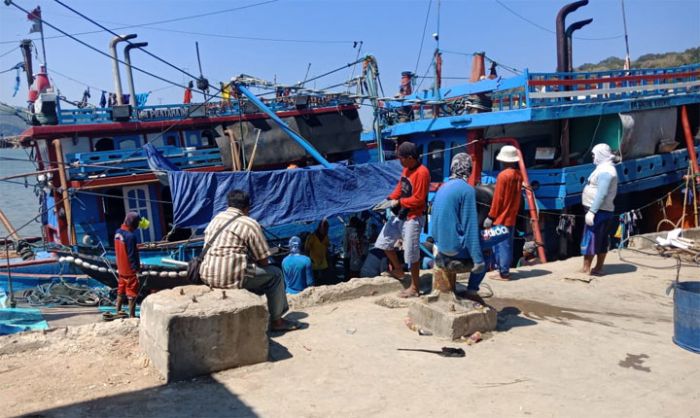 Awal Musim Penghujan, Tangkapan Ikan Nelayan di Pacitan Melonjak