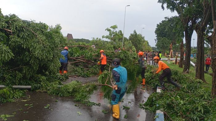 Angin Puting Beliung Terjang Terminal 1 Bandara Juanda, Sejumlah Pohon Tumbang