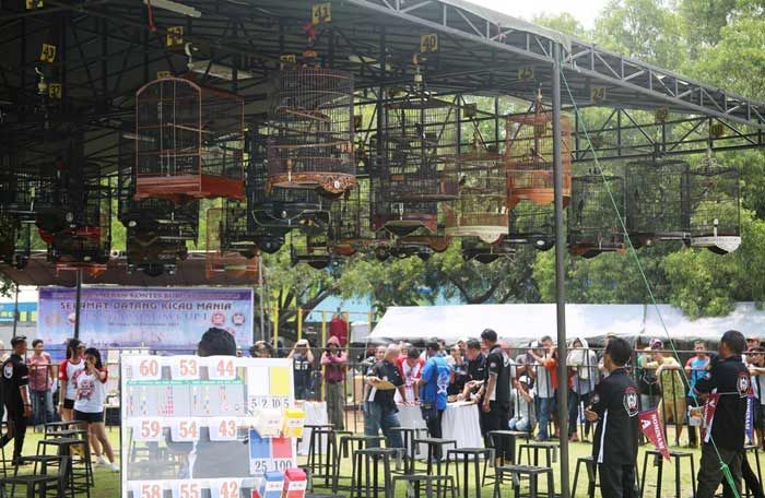 1.400 Kicau Burung Mania Ramaikan Markas Koarmatim