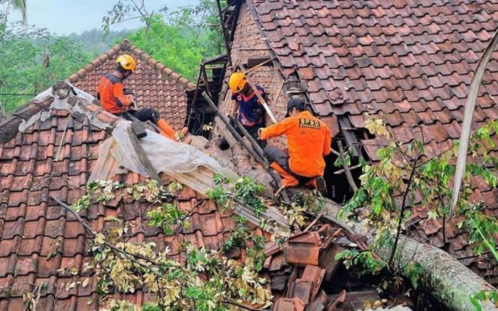 Hujan dan Angin Kencang Terjang Bondowoso, Puluhan Rumah di Dua Kecamatan Alami Kerusakaan Hujan dan Angin Kencang Terjang Bondowoso, Puluhan Rumah di Dua Kecamatan Alami Kerusakaan