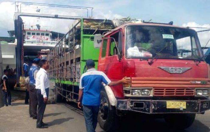 Aparat Hentikan 6 Truk dari Bali, Angkut 166 Sapi Tanpa Dokumen Resmi Aparat Hentikan 6 Truk dari Bali, Angkut 166 Sapi Tanpa Dokumen Resmi