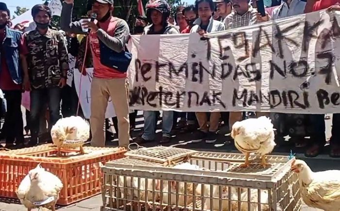 Harga Ayam Potong Anjlok, Para Peternak Demo Tuntut Pemkab Pamekasan Turun Tangan