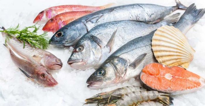 Cara Membedakan Ikan Segar dan Bermerkuri yang Wajib Diketahui Cara Membedakan Ikan Segar dan Bermerkuri yang Wajib Diketahui