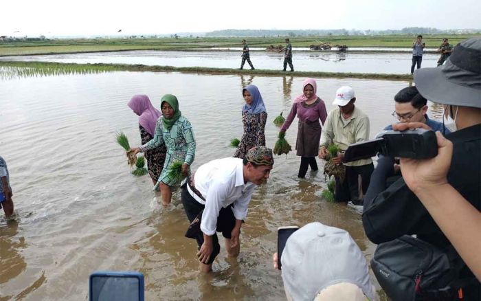 Kunker di Bangkalan, Mentan Ikut Tanam Padi Kunker di Bangkalan, Mentan Ikut Tanam Padi