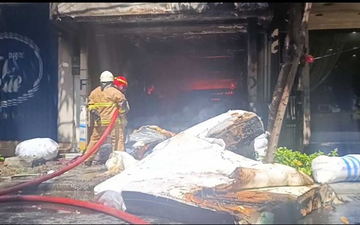 Diduga Terkena Percikan Api Las, Toko Mebel di Kertajaya Surabaya Ludes Terbakar Diduga Terkena Percikan Api Las, Toko Mebel di Kertajaya Surabaya Ludes Terbakar
