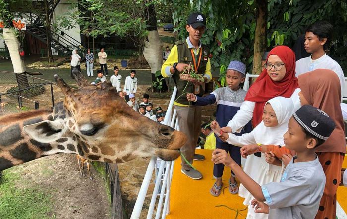 Berbagi Kebahagiaan di Bulan Ramadan, Wartawan Grahadi Ajak Anak Yatim Ngabuburit Lihat Satwa di KBS Berbagi Kebahagiaan di Bulan Ramadan, Wartawan Grahadi Ajak Anak Yatim Ngabuburit Lihat Satwa di KBS