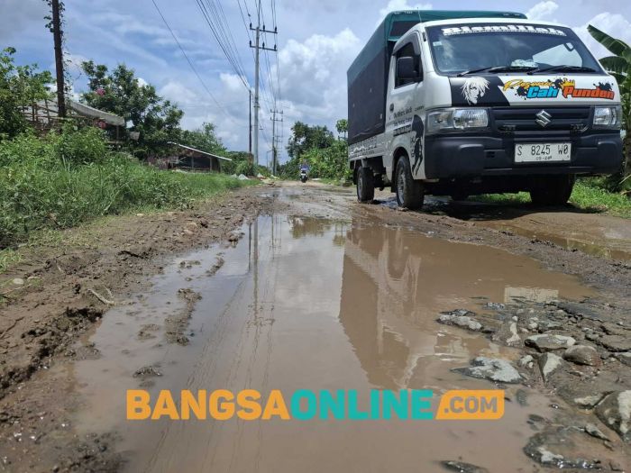 Warga Jatigedong Keluhkan Jalan Kabupaten Rusak Parah, DPUPR Jombang akan Cek Lapangan