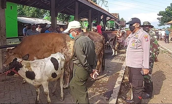 Antisipasi Wabah PMK di Kota Probolinggo, Polsek Wonoasih Pantau Pasar Hewan Antisipasi Wabah PMK di Kota Probolinggo, Polsek Wonoasih Pantau Pasar Hewan