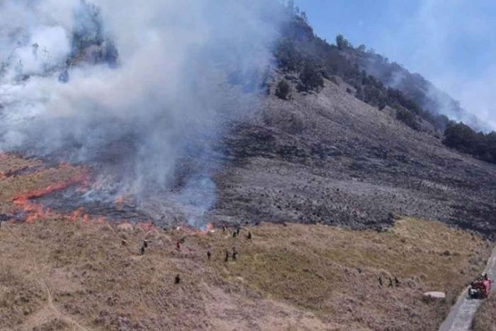 Terkait Kebakaran Bukit Teletubbies Bromo, Dimungkinkan Masih Ada Tersangka Lain Terkait Kebakaran Bukit Teletubbies Bromo, Dimungkinkan Masih Ada Tersangka Lain