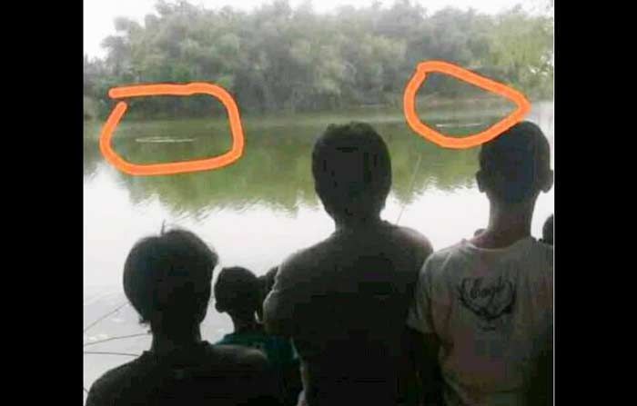 Heboh, Enam Buaya Besar di Sungai Bengawan Solo Heboh, Enam Buaya Besar di Sungai Bengawan Solo