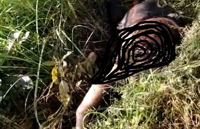 Identitas Mayat Perempuan Dibakar di Bangkalan Terungkap, Ternyata Warga Wonokromo Identitas Mayat Perempuan Dibakar di Bangkalan Terungkap, Ternyata Warga Wonokromo