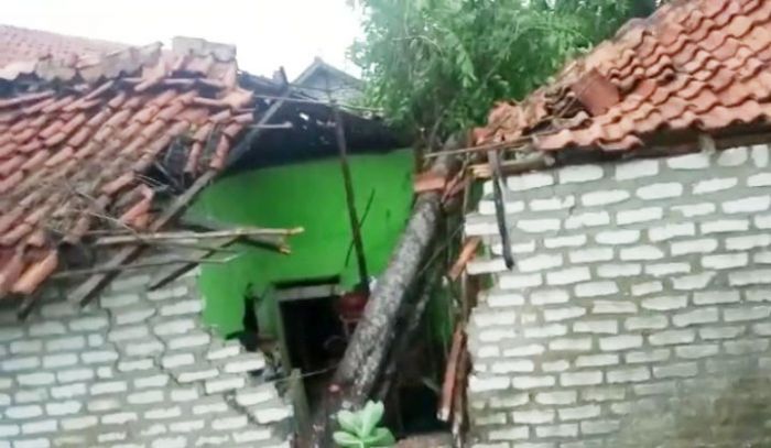 Puting Beliung di Sampang, Sejumlah Rumah Warga Hancur Tertimpa Pohon