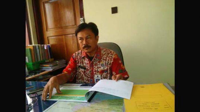 Pacitan Miskin Kedelai dan Daging, harus Datangkan dari Luar Daerah Pacitan Miskin Kedelai dan Daging, harus Datangkan dari Luar Daerah