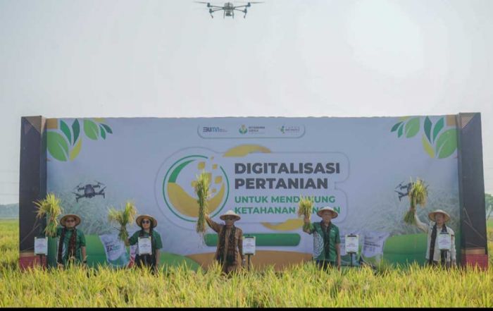 Digitalisasi Pertanian Petrokimia Gresik Mampu Tingkatkan Panen Padi Hingga 9,12 Ton per Hektare Digitalisasi Pertanian Petrokimia Gresik Mampu Tingkatkan Panen Padi Hingga 9,12 Ton per Hektare