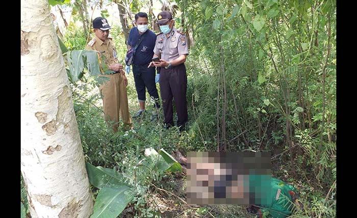 Tak Pulang 7 Hari, Warga Jetis Ponorogo Ditemukan Meninggal di Persawahan Tak Pulang 7 Hari, Warga Jetis Ponorogo Ditemukan Meninggal di Persawahan