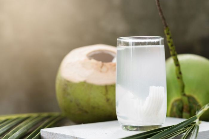 Simak 5 Manfaat Minum Air Kelapa Sebelum Tidur Simak 5 Manfaat Minum Air Kelapa Sebelum Tidur