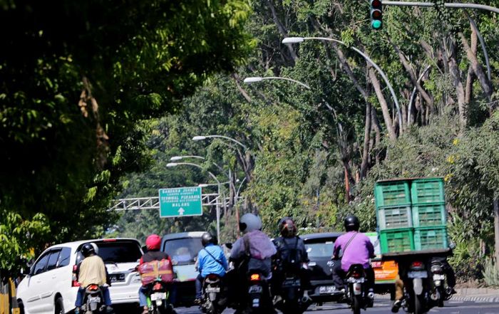 Tahun ini, Pemkot Surabaya Targetkan Pemasangan 5.884 PJU Tahun ini, Pemkot Surabaya Targetkan Pemasangan 5.884 PJU