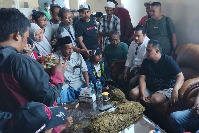 Ketua P4TM Pamekasan, Sayangkan Penjualan Tembakau Masih Muda yang Rugikan Petani Ketua P4TM Pamekasan, Sayangkan Penjualan Tembakau Masih Muda yang Rugikan Petani