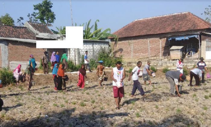 Peringati HUT ke-74, TNI, Polri, dan Ratusan Petani Gotong Royong Tumpas Tikus