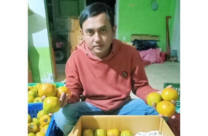 Tanpa Bedak, Kesemek Glowing Tulungrejo Potensial untuk Diekspor Tanpa Bedak, Kesemek Glowing Tulungrejo Potensial untuk Diekspor