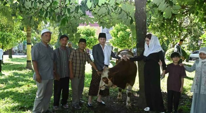 Bupati Trenggalek Serahkan 2 Sapi Kurban, 1 dari Presiden Prabowo dan Lainnya untuk Korban Longsor Bupati Trenggalek Serahkan 2 Sapi Kurban, 1 dari Presiden Prabowo dan Lainnya untuk Korban Longsor