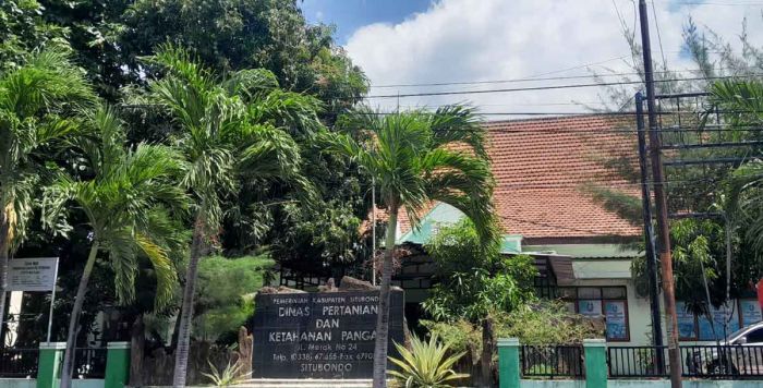 Pemkab Situbondo Genjot Kualitas Tembakau Lewat Pelatihan Pasca-Panen Pemkab Situbondo Genjot Kualitas Tembakau Lewat Pelatihan Pasca-Panen