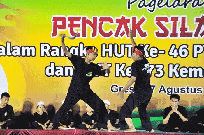 Bangun Mental Pemuda, PT Petrokimia Gresik Gelar Atraksi Pencak Silat Bangun Mental Pemuda, PT Petrokimia Gresik Gelar Atraksi Pencak Silat