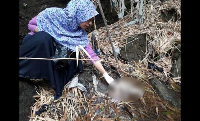 Dibuang Orang Tuanya, Kepala Bayi di Pasuruan Dimakan Binatang Buas Dibuang Orang Tuanya, Kepala Bayi di Pasuruan Dimakan Binatang Buas