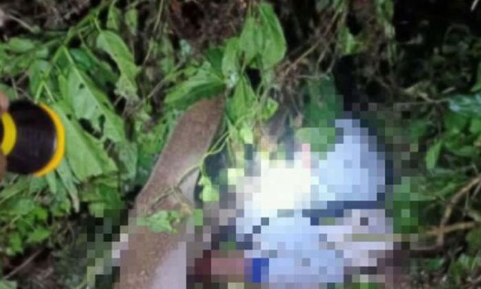 Cari Rumput, Kakek Warga Puncu Kediri Meninggal Tertimpa Pohon Cari Rumput, Kakek Warga Puncu Kediri Meninggal Tertimpa Pohon