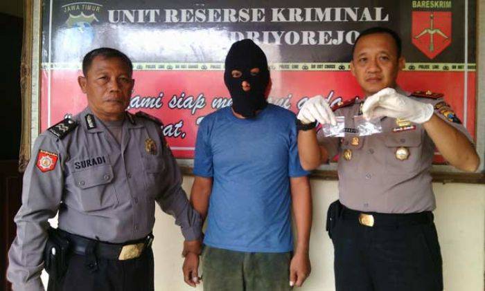 Pengedar Sabu Kawakan di Gresik Dibekuk Pengedar Sabu Kawakan di Gresik Dibekuk