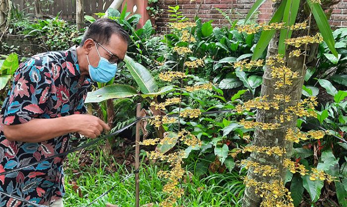 Sejak Dibuka 2 Minggu Lalu, Wisata Kampoeng Anggrek di Kediri Terapkan Pembatasan Kuota Pengunjung