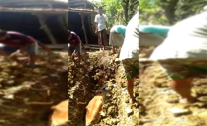 Distribusi Vaksin PMK Rampung, 10 Ekor Sapi Peternak di Sampang Mati Distribusi Vaksin PMK Rampung, 10 Ekor Sapi Peternak di Sampang Mati