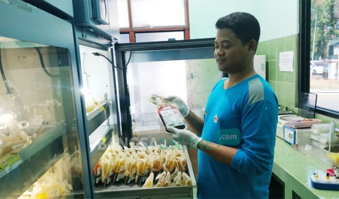 PMI Blitar Temukan 15 Kantong Darah Terpapar HIV, Karena Pendonor Tak Jujur PMI Blitar Temukan 15 Kantong Darah Terpapar HIV, Karena Pendonor Tak Jujur