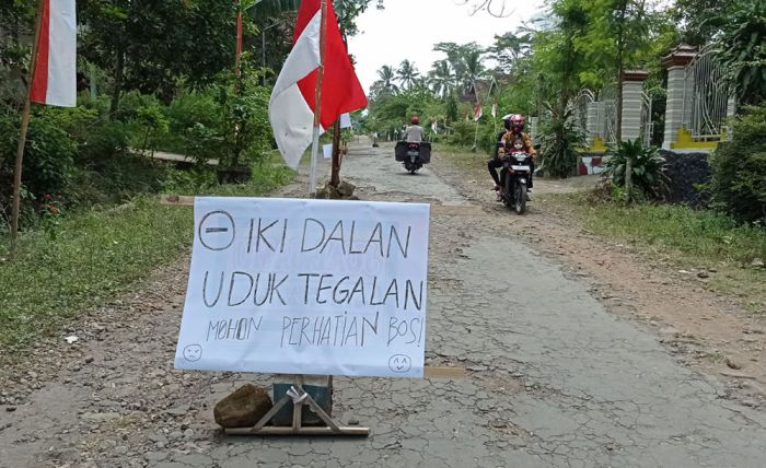 10 Tahun Dibiarkan Rusak, Jalan Desa di Blitar Ini Ditanami Pohon Pisang