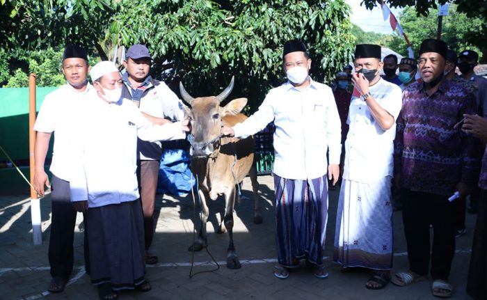 Gelar Maulid Nabi SAW di Pulau Bawean, Bupati Gresik Sumbang 3 Ekor Sapi